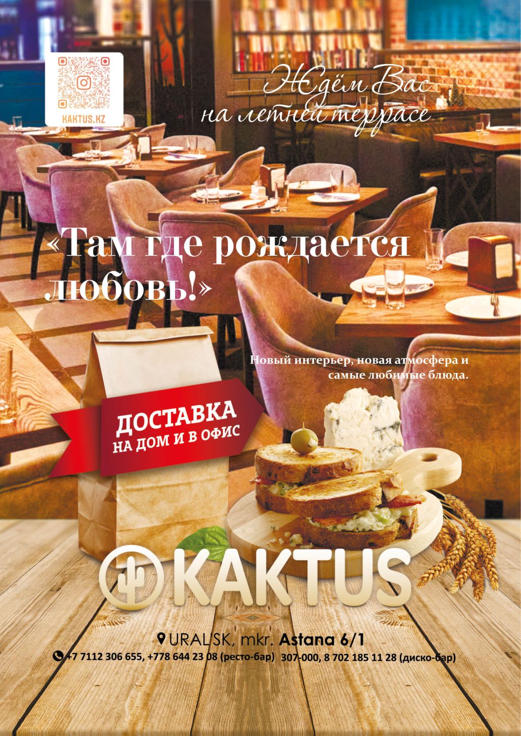 Kaktus